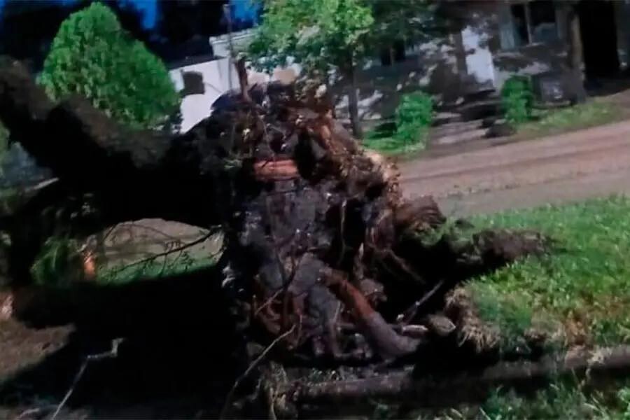 639716848_1599983591106597_2841869600642020415_n.jpg 639716848_1599983591106597_2841869600642020415_n.jpg