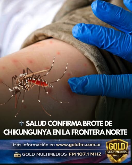 SALUD CONFIRMA BROTE DE CHIKUNGUNYA EN LA FRONTERA NORTE