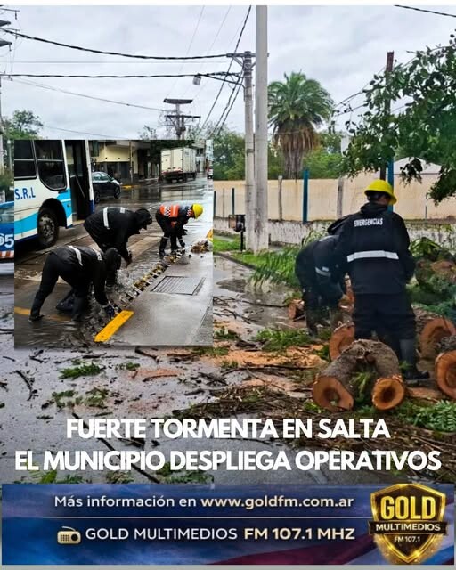 FUERTE TORMENTA EN SALTA: EL MUNICIPIO DESPLIEGA OPERATIVOS