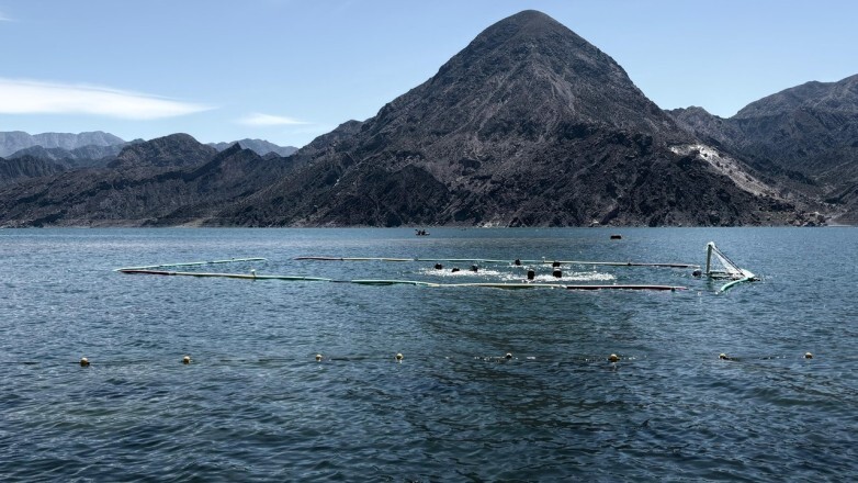 6484883368a74c52919b0c0cfa79de56_L.jpg El dique Punta Negra será escenario de un inédito torneo de Waterpolo