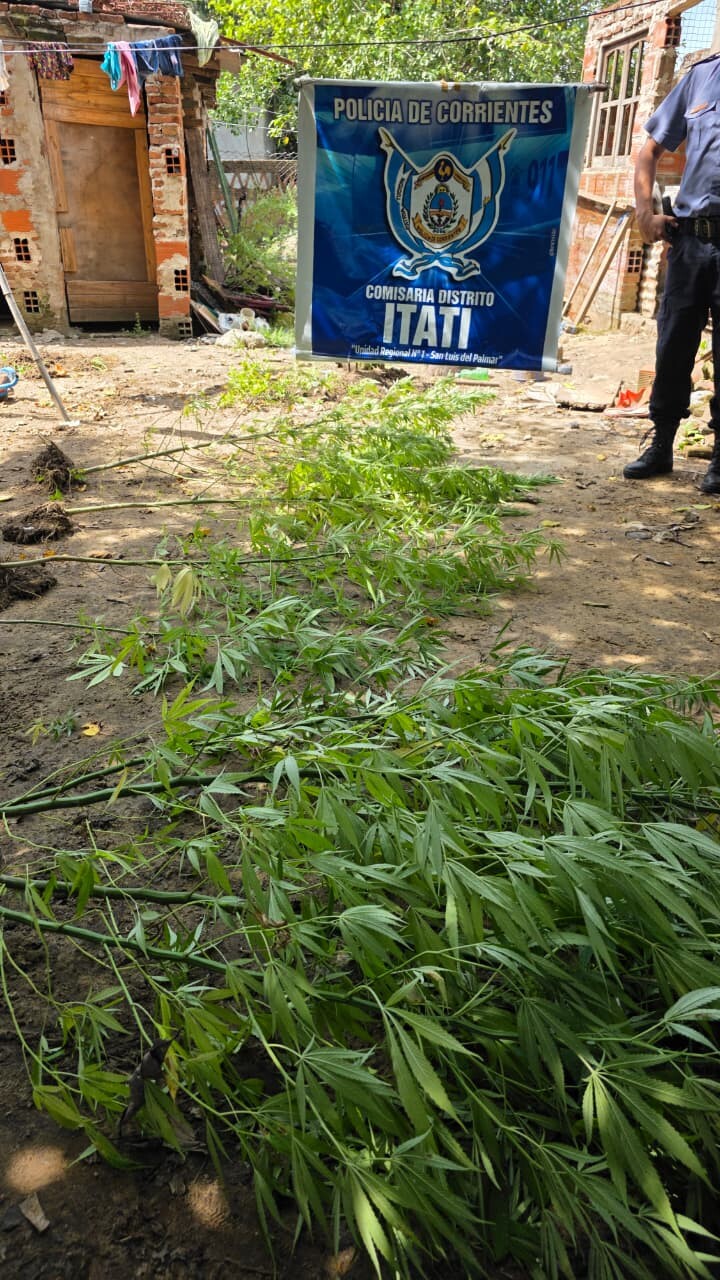 6558e121-9285-4de8-9051-c13c73be6766.jfif