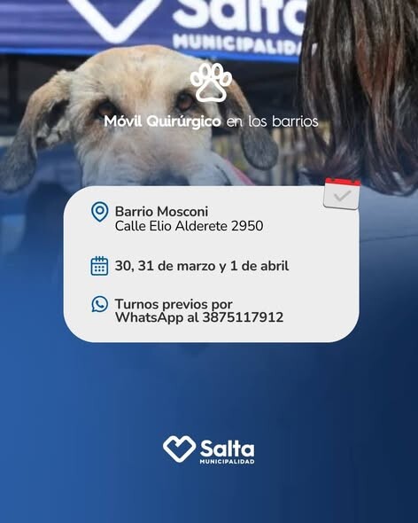659862949_1290719803200668_5254522824421501683_n.jpg