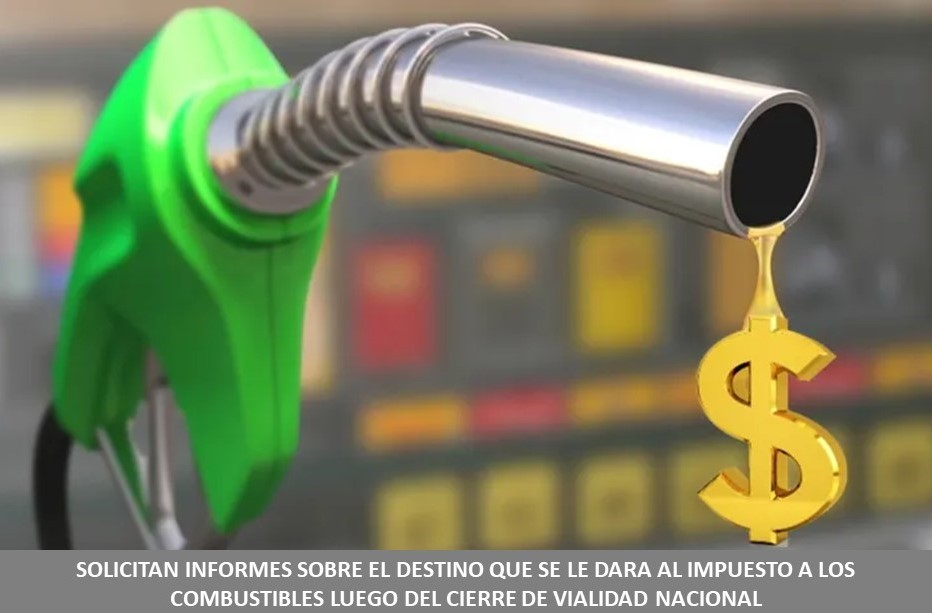 6665.jpeg Solicitan informes sobre el destino que se le dará al impuesto a los combustibles luego del cierre de Vialidad Nacional