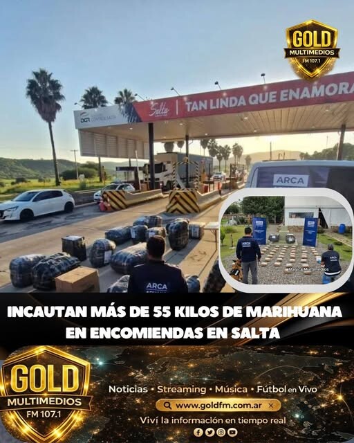 SALTA: DURO GOLPE AL NARCOTRÁFICO INCAUTAN MÁS DE 55 KILOS DE MARIHUANA EN ENCOMIENDAS