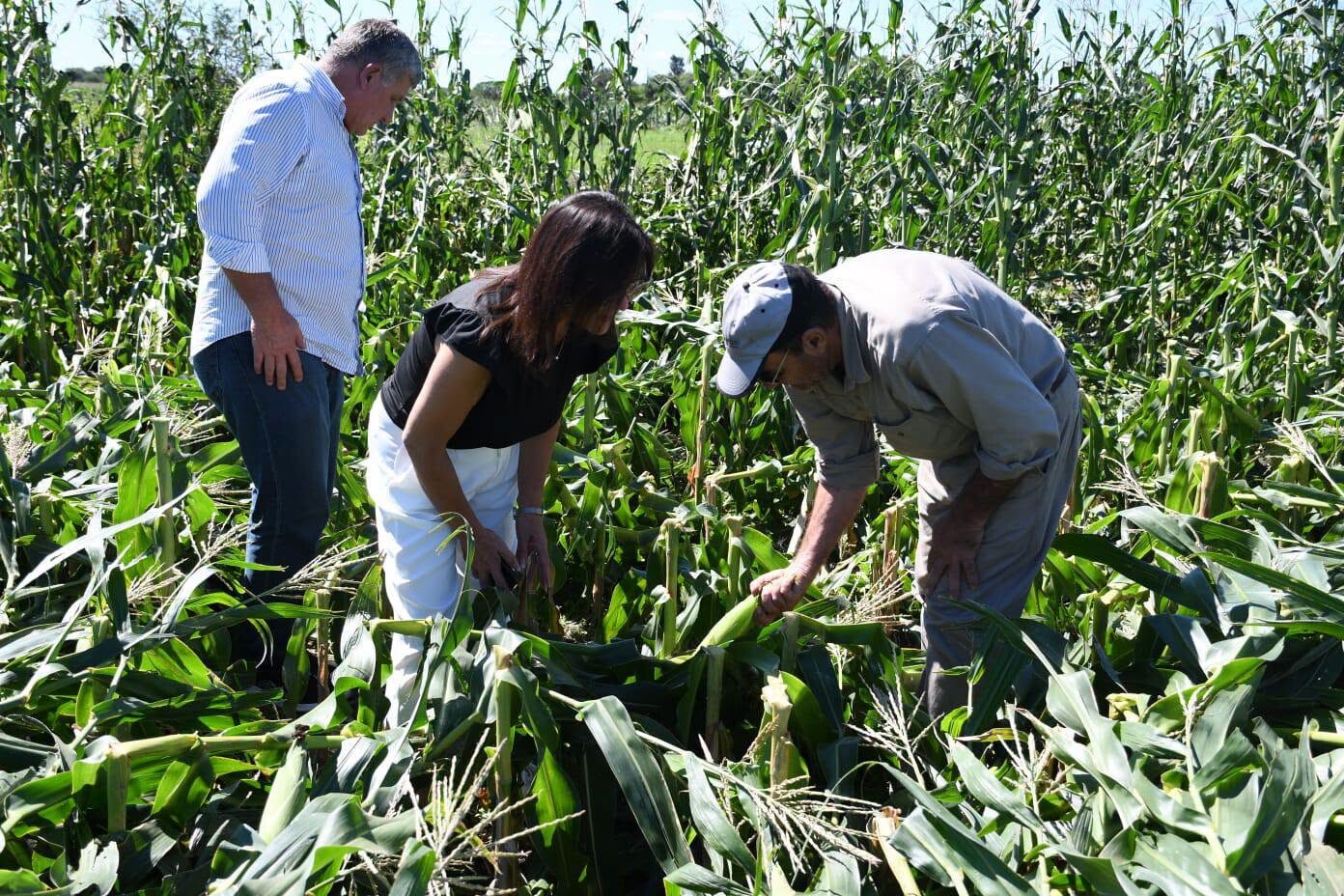 TRES ISLETAS: LA JEFA DE ESTADO REALIZÓ UNA RECORRIDA POR COLONIA VÉLEZ SARFIELD TRAS EL TEMPORAL