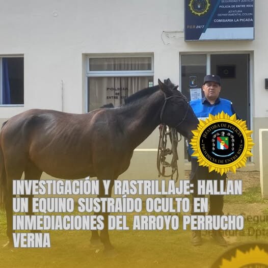 INVESTIGACIÓN Y RASTRILLAJE: HALLAN UN EQUINO SUSTRAÍDO OCULTO EN INMEDIACIONES DEL ARROYO PERRUCHO VERNA.