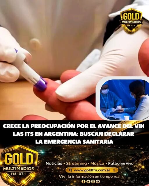 CRECE LA PREOCUPACIÓN POR EL AVANCE DEL VIH Y LAS ITS EN ARGENTINA: BUSCAN DECLARAR LA EMERGENCIA SANITARIA