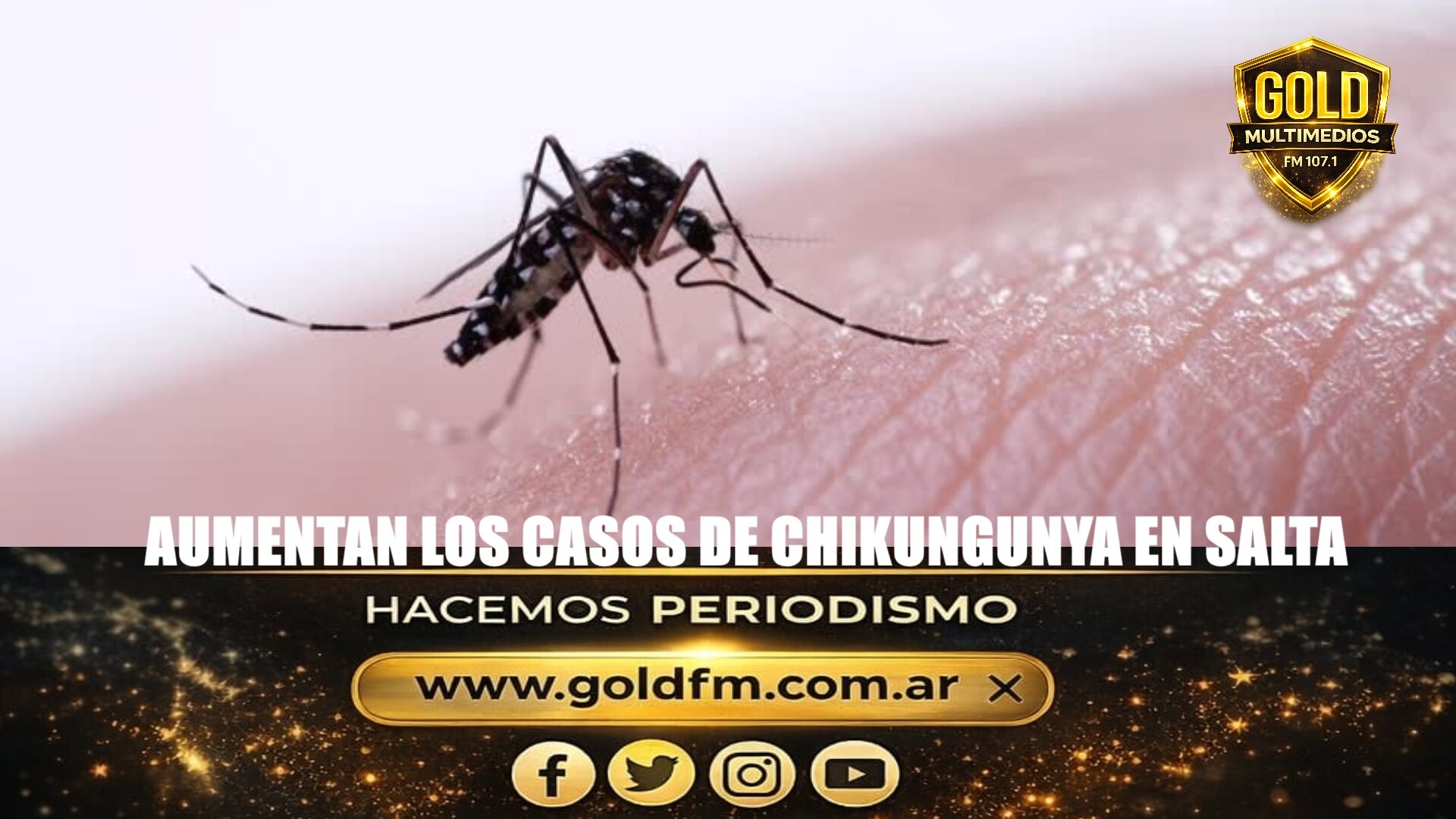 AUMENTAN LOS CASOS DE CHIKUNGUNYA EN SALTA