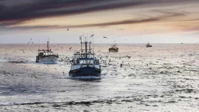 Exportación pesquera récord, pero sin ganancias: la advertencia que inquieta al sector