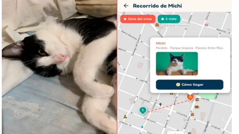 Entrerriano creó una aplicación para encontrar mascotas perdidas y ya logró 20 reencuentros.