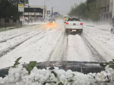 Violento temporal en santa fe: el granizo destruyó cultivos, mató animales y provocó daños en viviendas