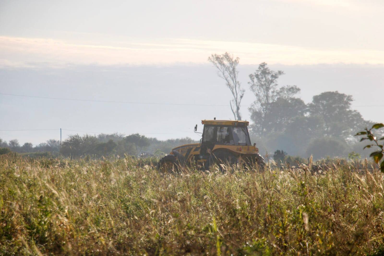 TRES ISLETAS: ACOMPAÑANDO A NUESTROS PEQUEÑOS PRODUCTORES