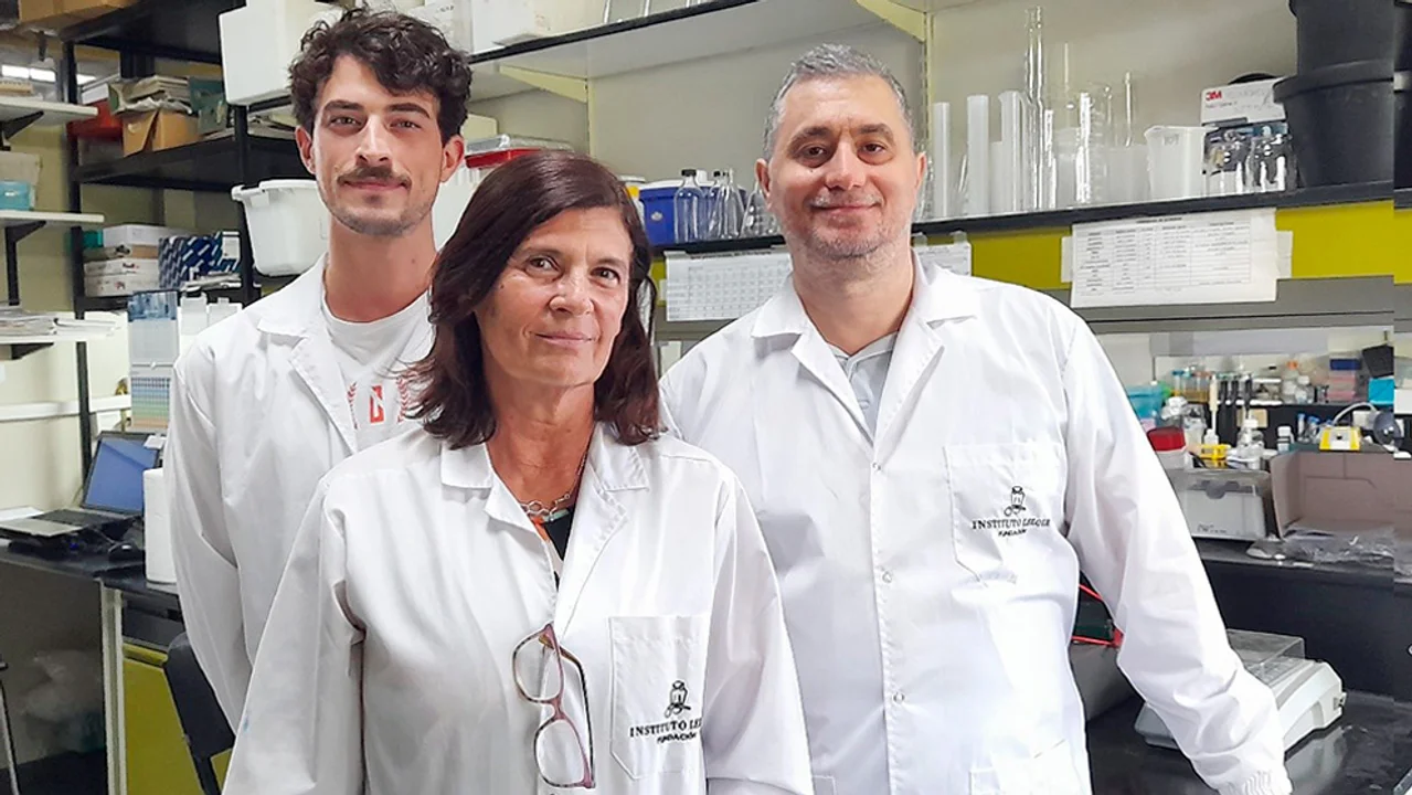 Un hallazgo de científicos argentinos podría ayudar a desarrollar una terapia para frenar el Alzheimer
