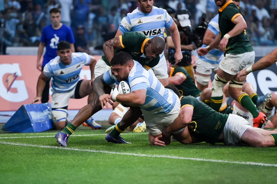 Los Pumas, a un paso de la gloria: ¿qué necesitan para ser campeones del Rugby Championship?