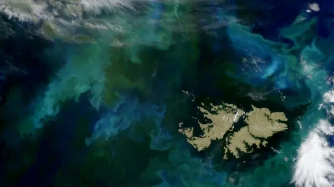La OEA reafirmó su apoyo al reclamo argentino en referencia a la soberanía sobre las Islas Malvinas