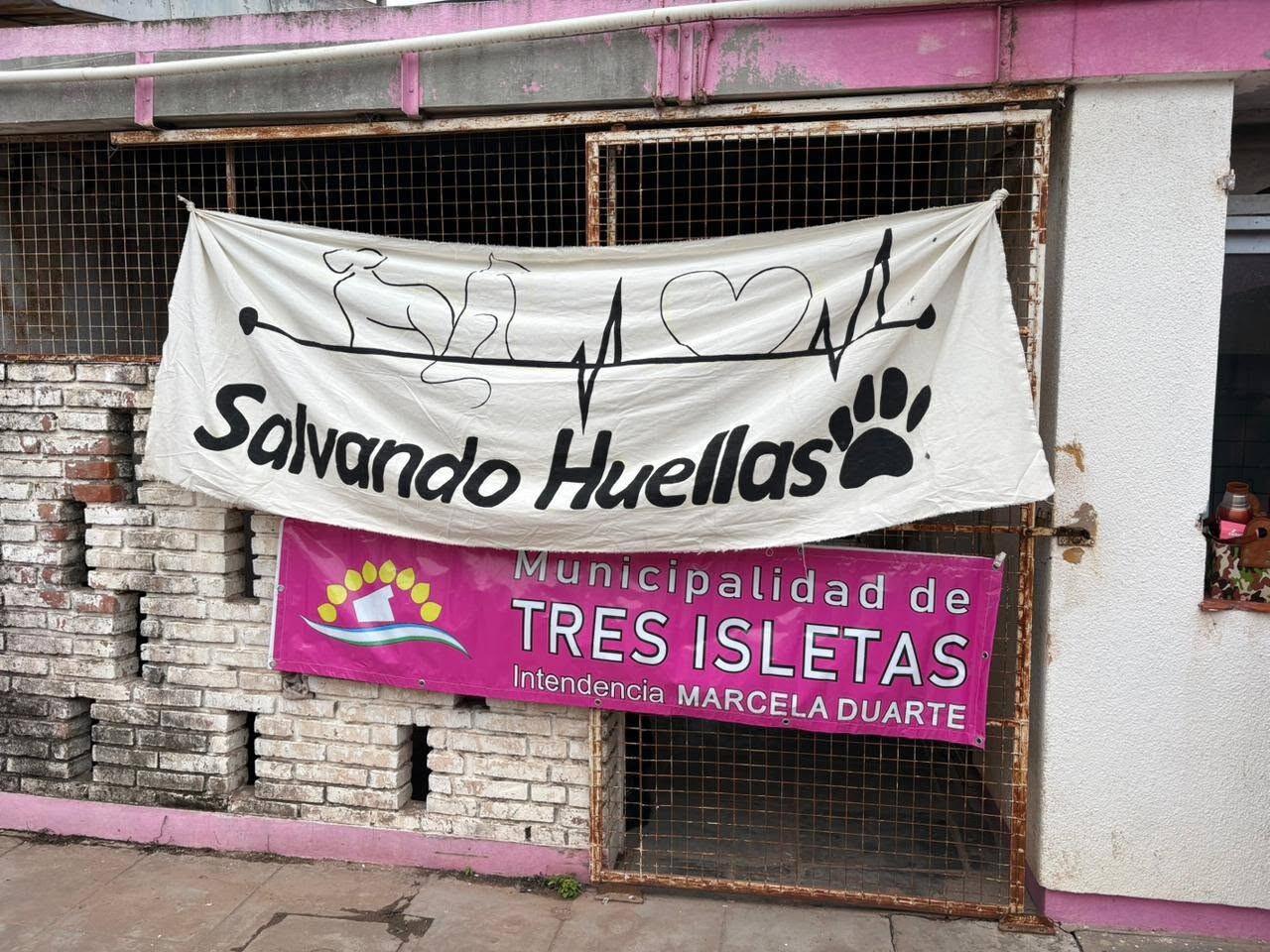 TRES ISLETAS: EXITOSA JORNADA DE CASTRACIÓN EN NUESTRA CIUDAD