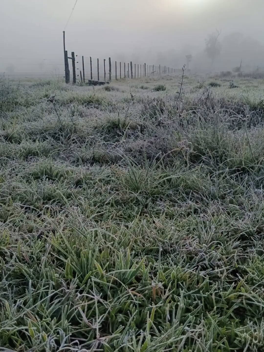 El frío intenso ya se hace sentir en la zona Centro y Nordeste de Misiones
