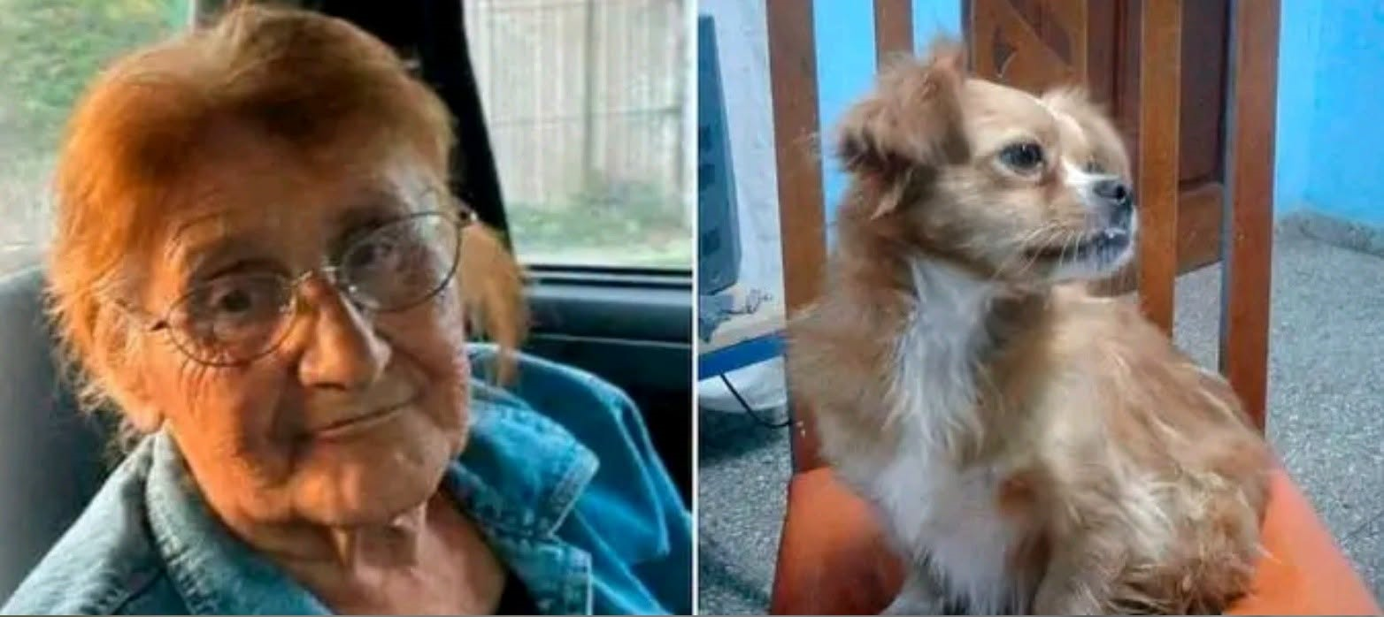 Encontraron sin vida a Victoria Aguirre, la mujer de 79 años junto a su perrita, que era intensamente buscada