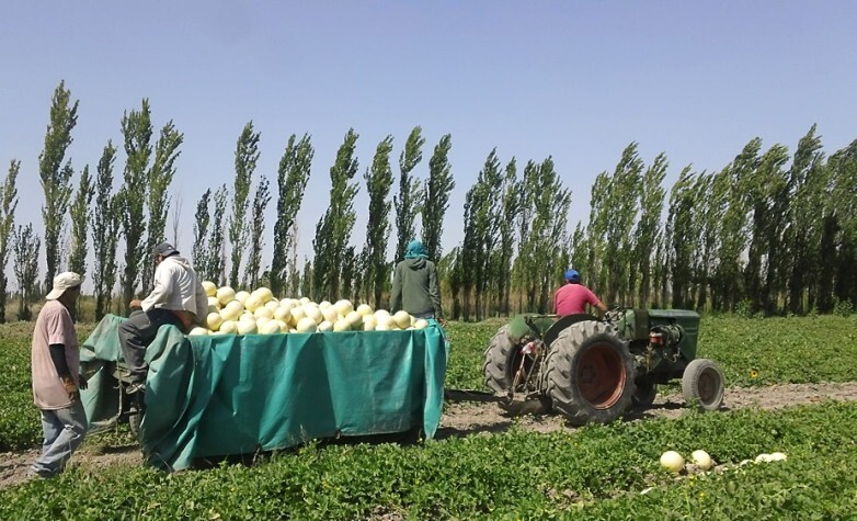 Día Mundial de la Agricultura: San Juan refuerza el acompañamiento a los productores
