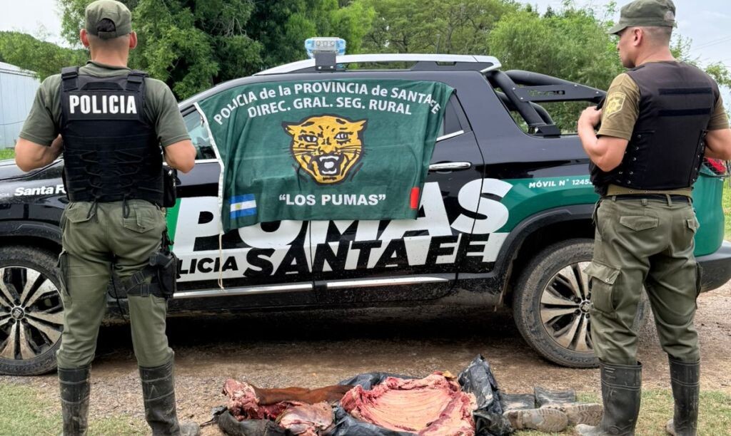 “Los Pumas” de San Javier esclarecieron un abigeato, aprehendieron al delincuente rural, por disposición del fiscal continúa en libertad.