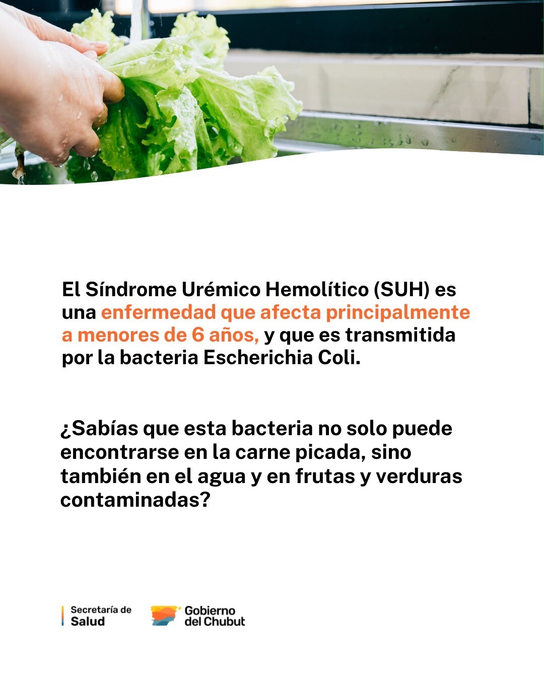 75059440-83fb-46de-9458-88aada8c3a83.jpeg