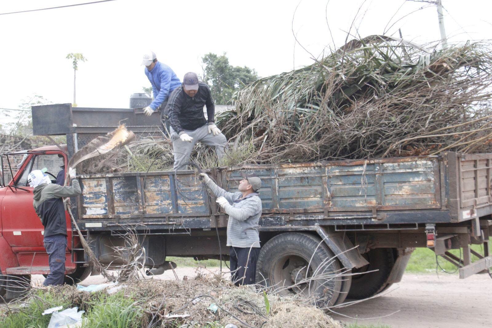 TRES ISLETAS: TRABAJADORES MUNICIPALES CONTINÚAN CON LA RECOLECCIÓN DE RAMAS EN DISTINTOS PUNTOS DE NUESTRA CIUDAD