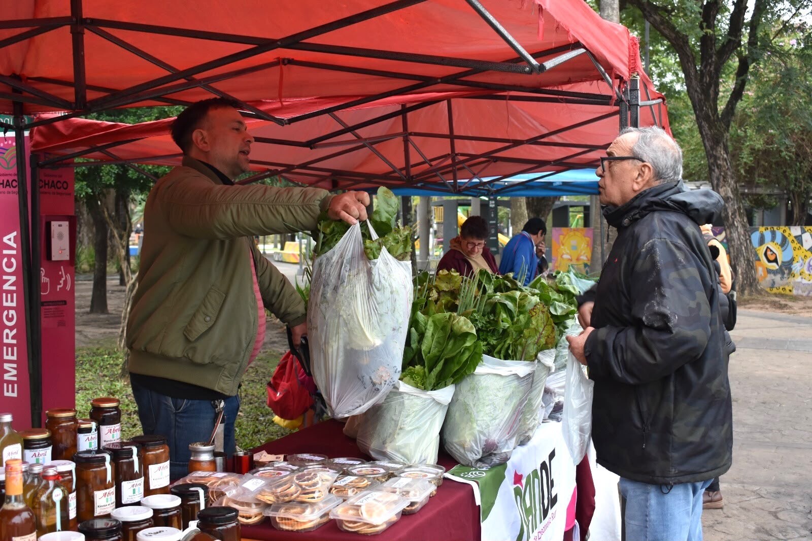 PROGRAMA ÑANDE: NUEVA FERIA DE PEQUEÑOS PRODUCTORES EN LA PLAZA 25 DE MAYO