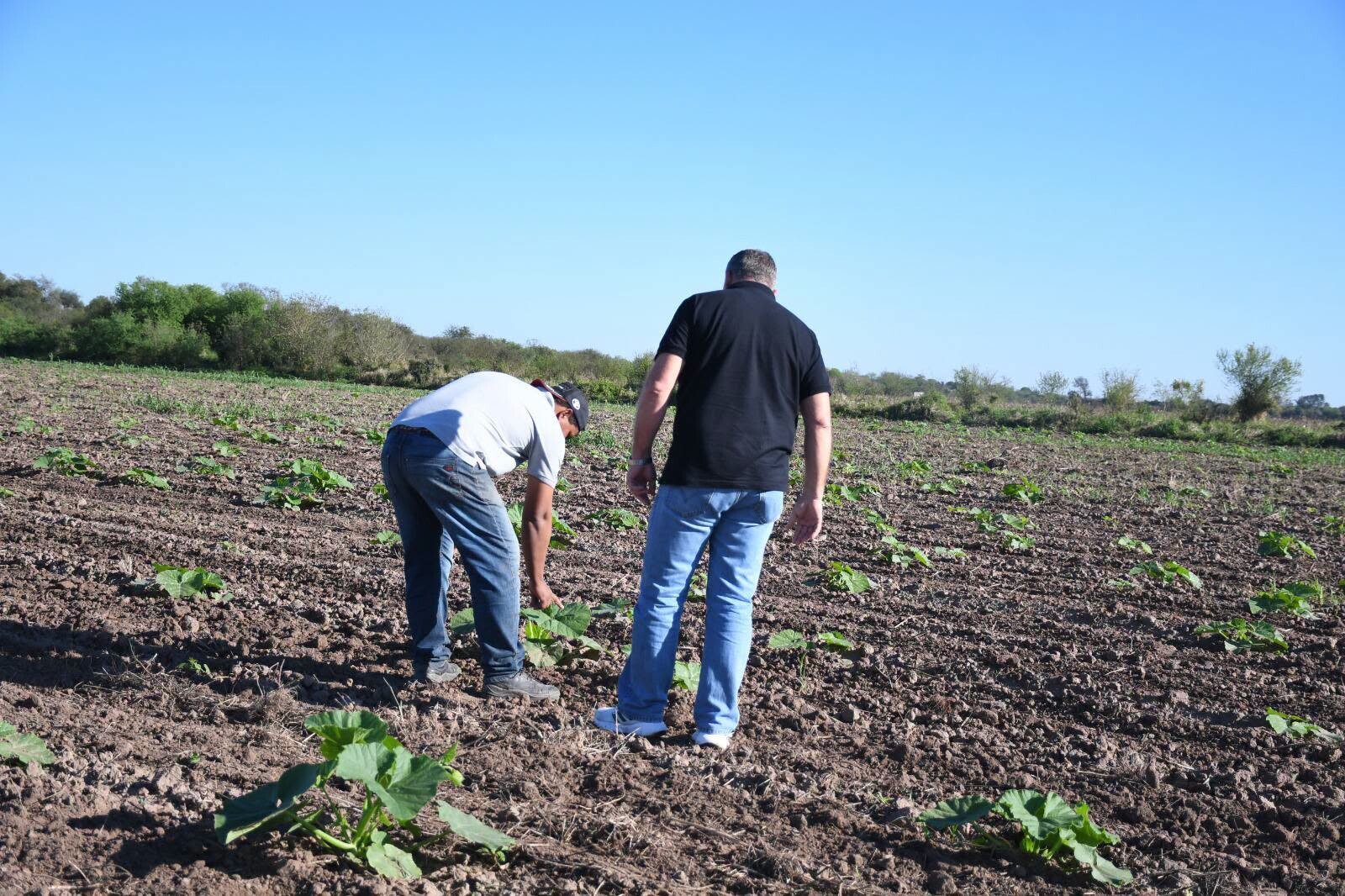 TRES ISLETAS: LA SECRETARÍA DE LA PRODUCCIÓN ACOMPAÑA Y FORTALECE LA PRODUCCIÓN LOCAL