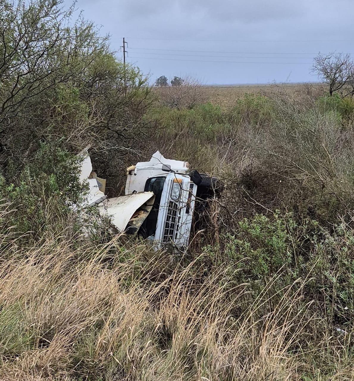 7f009695-7989-4f1b-8434-5b1081972607.jfif