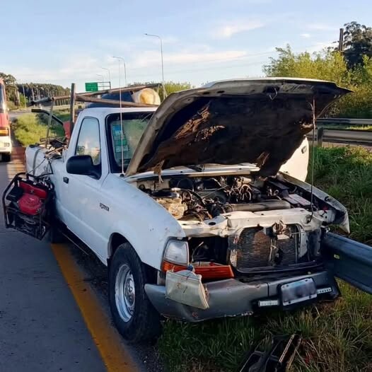 Un ciervo habría causado un grave accidente en la Autovía General Artigas.
