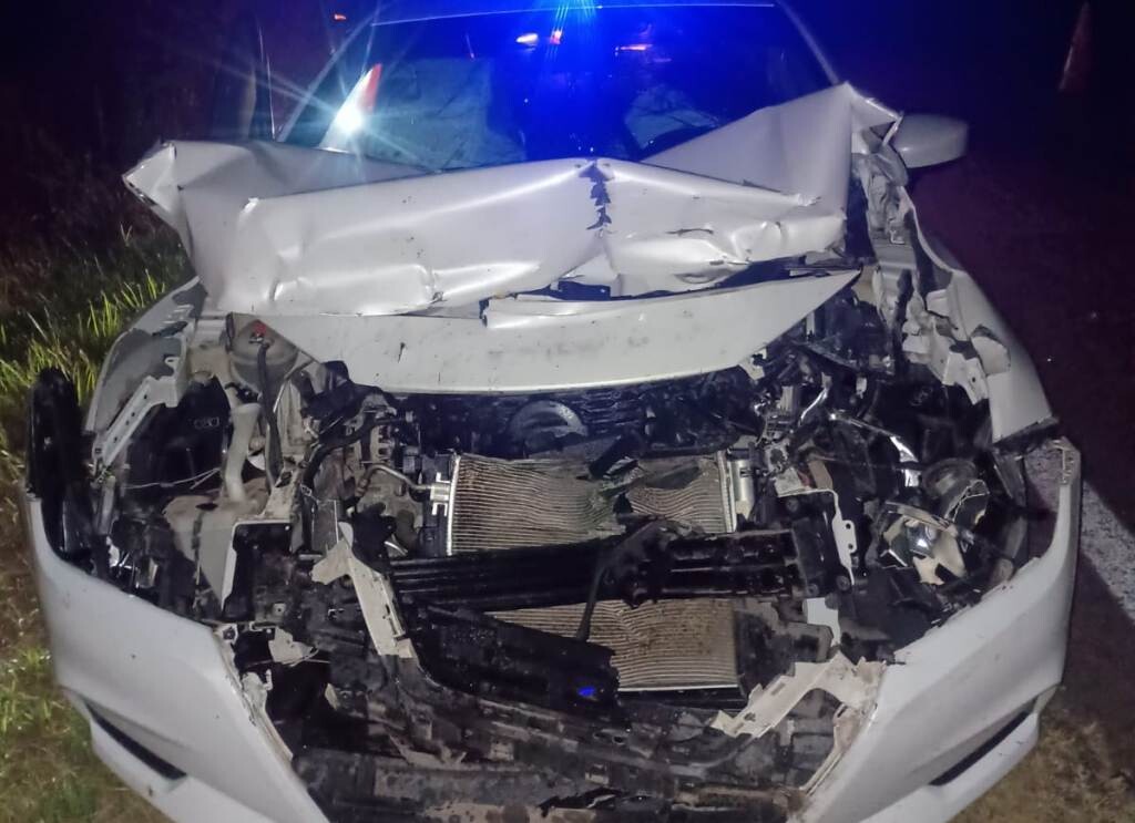 Un perro provocó un accidente entre una camioneta y un auto en la Ruta Nacional 11, jurisdicción Hardy.