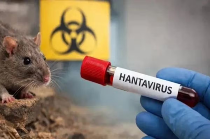 86945.png Alerta: ya son 102 los casos confirmados por hantavirus en Argentina