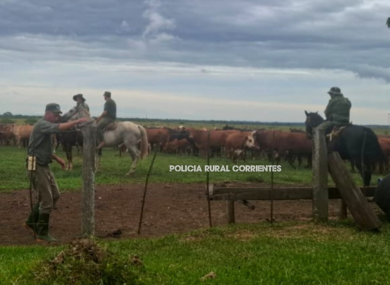 876cd879-7af7-42b3-9115-7420ebfd7776.jfif