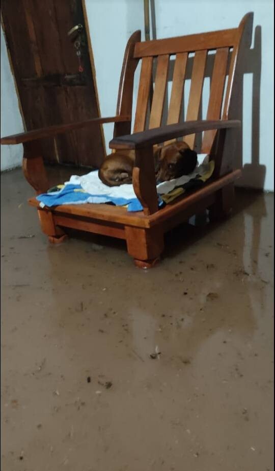 Intenso temporal azotó El Galpón: más de 160 mm de lluvia, calles inundadas y barrios sin luz