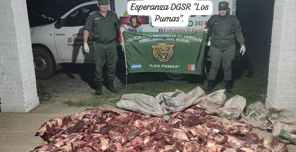 8f8d83ac-3041-4de6-8787-8f8759b6952a.jpeg