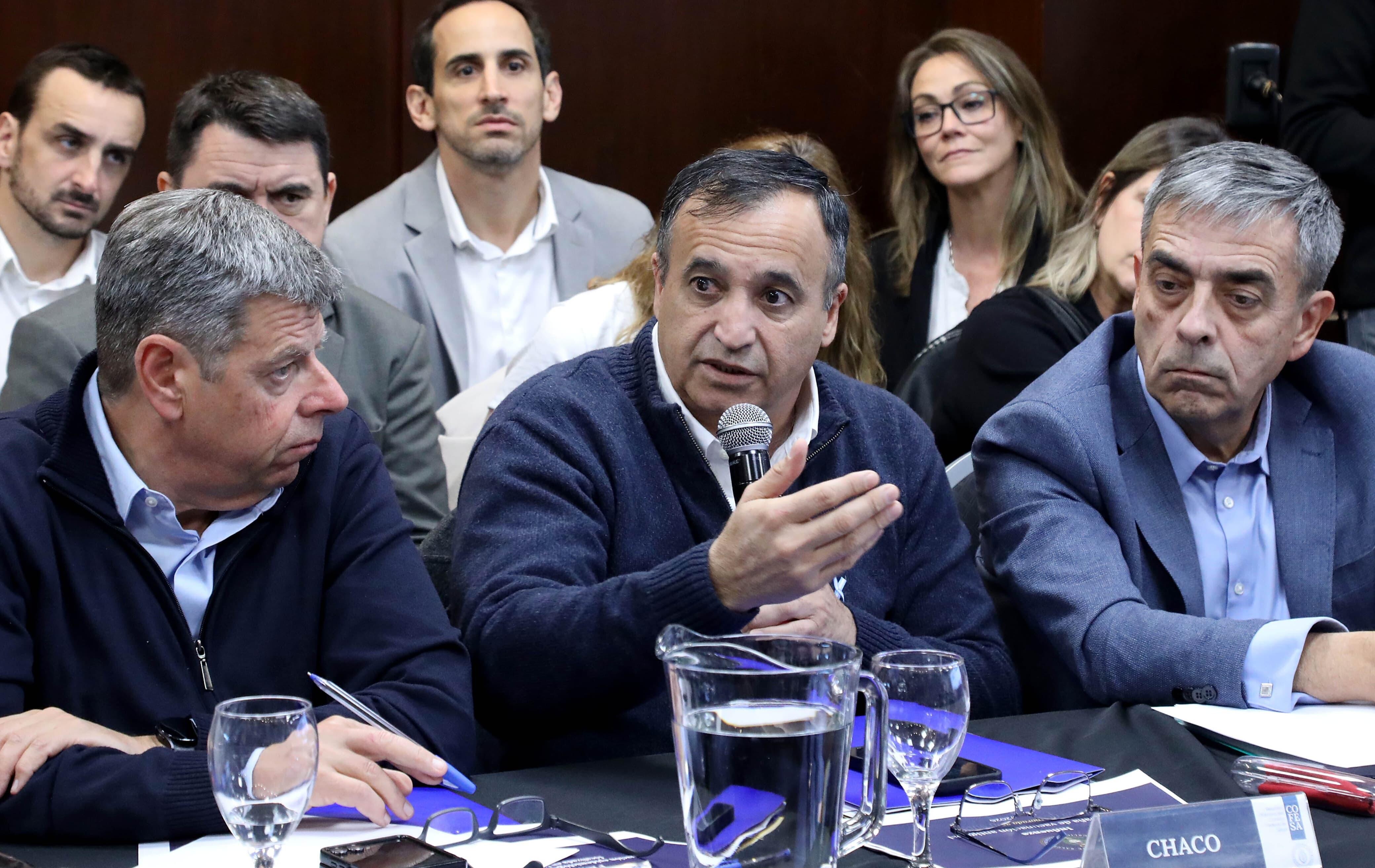 CHACO PARTICIPÓ DE UNA NUEVA REUNIÓN DEL COFESA PARA FORTALECER EL SISTEMA SANITARIO FEDERAL