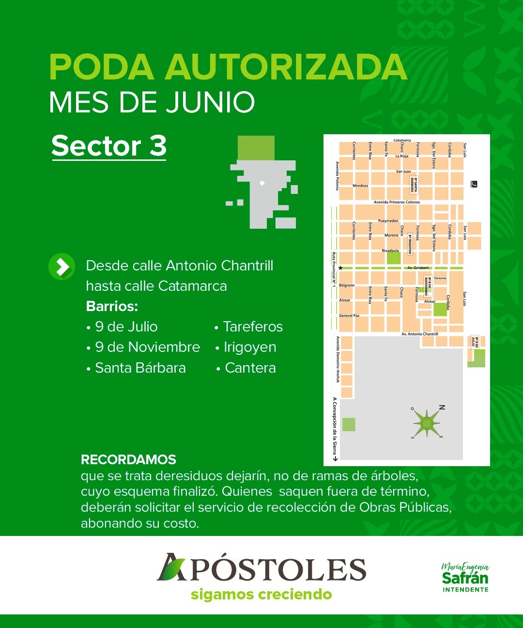Podas autorizadas en el sector 3 de la ciudad