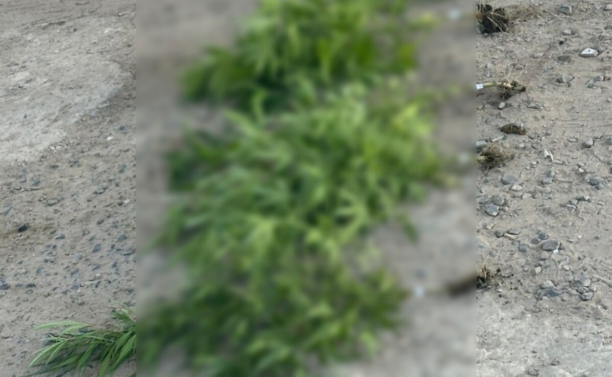 9661dc48-1415-4d79-a0fb-3425f40f2567.jpeg