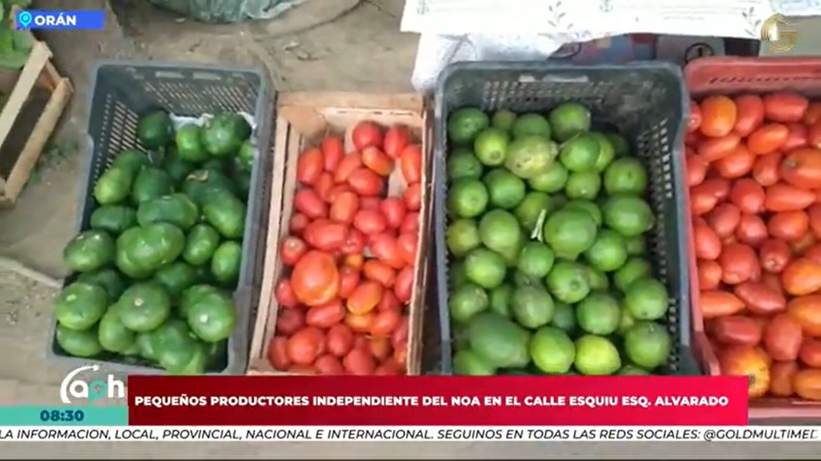 96b7c633-fa21-4601-a40b-c02a3f4f2cc3.jpg Pequeños productores independientes del NOA realizaron gran venta en calle Esquiú esq. Alvarado