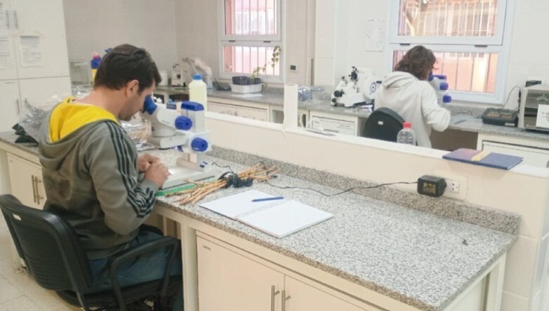 96c8c90257ad9b5c3a79e06291e5bd32_L.jpg Laboratorios de Producción realizan controles en alimentos libres de gluten