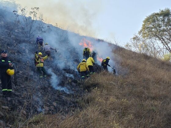 97e7eb25-b334-4781-a899-d7c0306c97a5-560x420.jpg Importante operativo para sofocar incendios forestales en Vaqueros