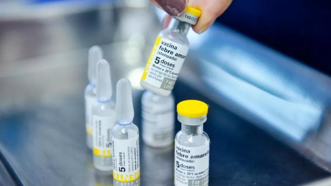 98882-cuales-son-los-vacunatorios-habilitados-contra-la-fiebre-amarilla-en-la-provincia.webp Cuáles son los vacunatorios habilitados contra la fiebre amarilla en la provincia
