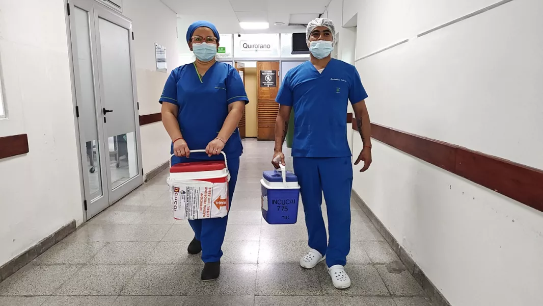 99414-durante-la-nochebuena-se-realizo-un-trasplante-renal-en-el-hospital-arturo-oniativia.webp Durante la Nochebuena se realizó un trasplante renal en el hospital Arturo Oñativia