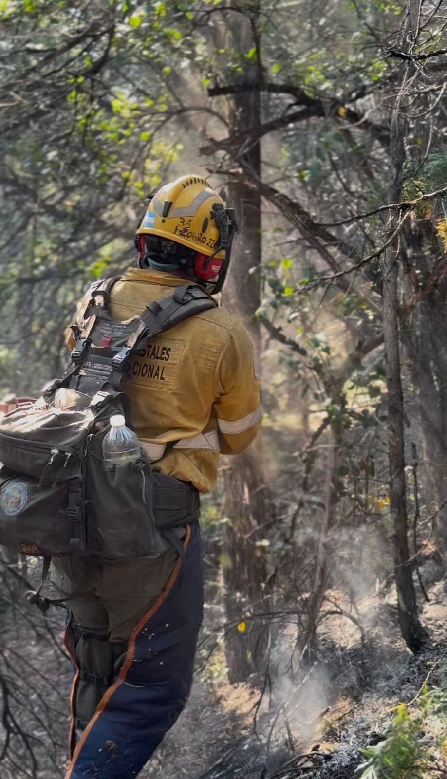 Incendio en el Parque Nacional: bomberos voluntarios de Chile se suman a los más de 500 brigadistas provinciales y nacionales
