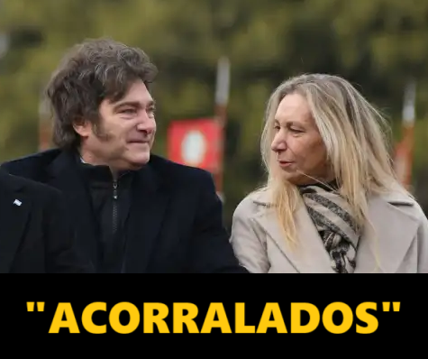 Milei acorralado: Pedidos de detención por la estafa de «Libra»