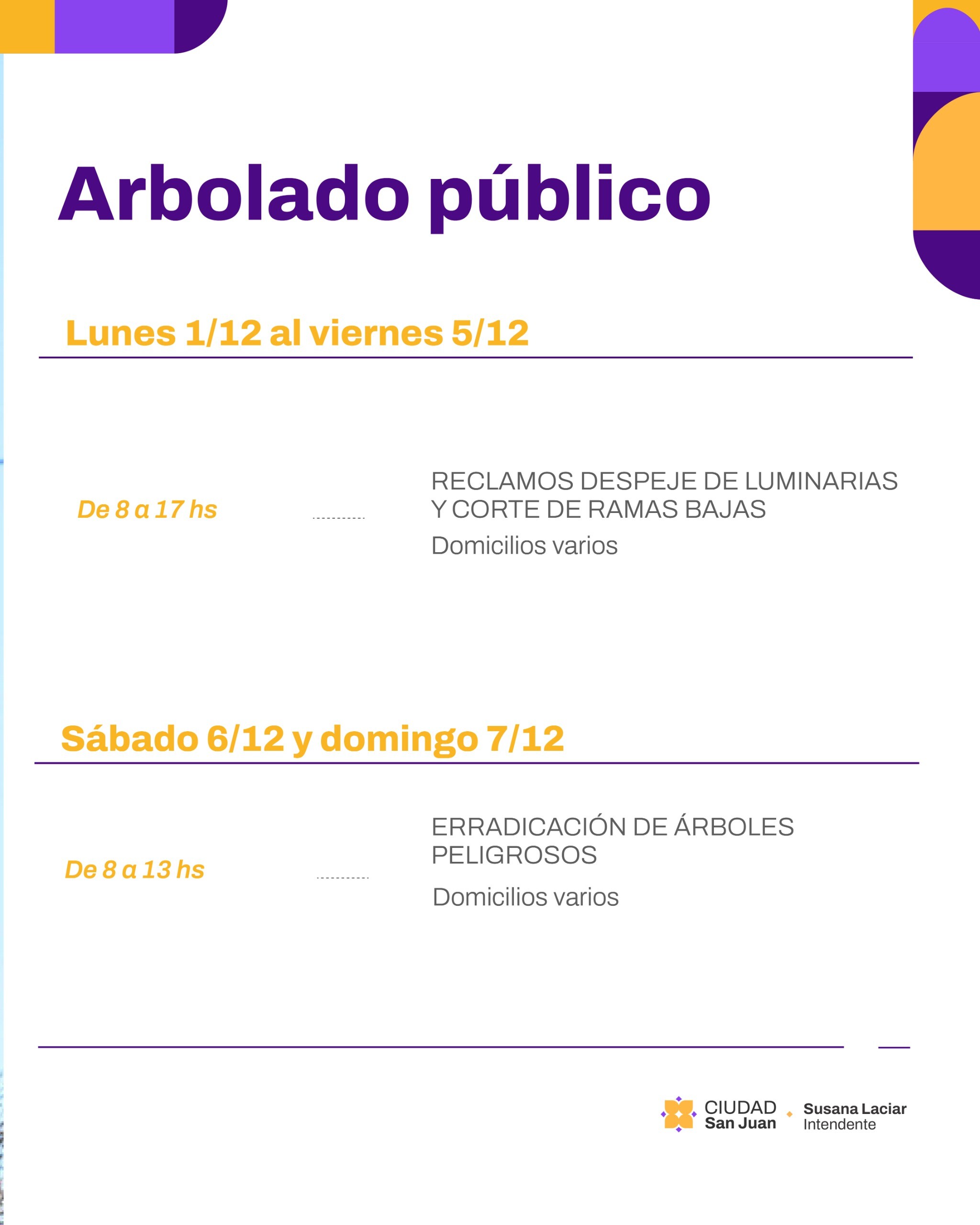 ARBOLADO-PÚBLICO-DICIEMBRE.jpeg ARBOLADO-PÚBLICO-DICIEMBRE.jpeg