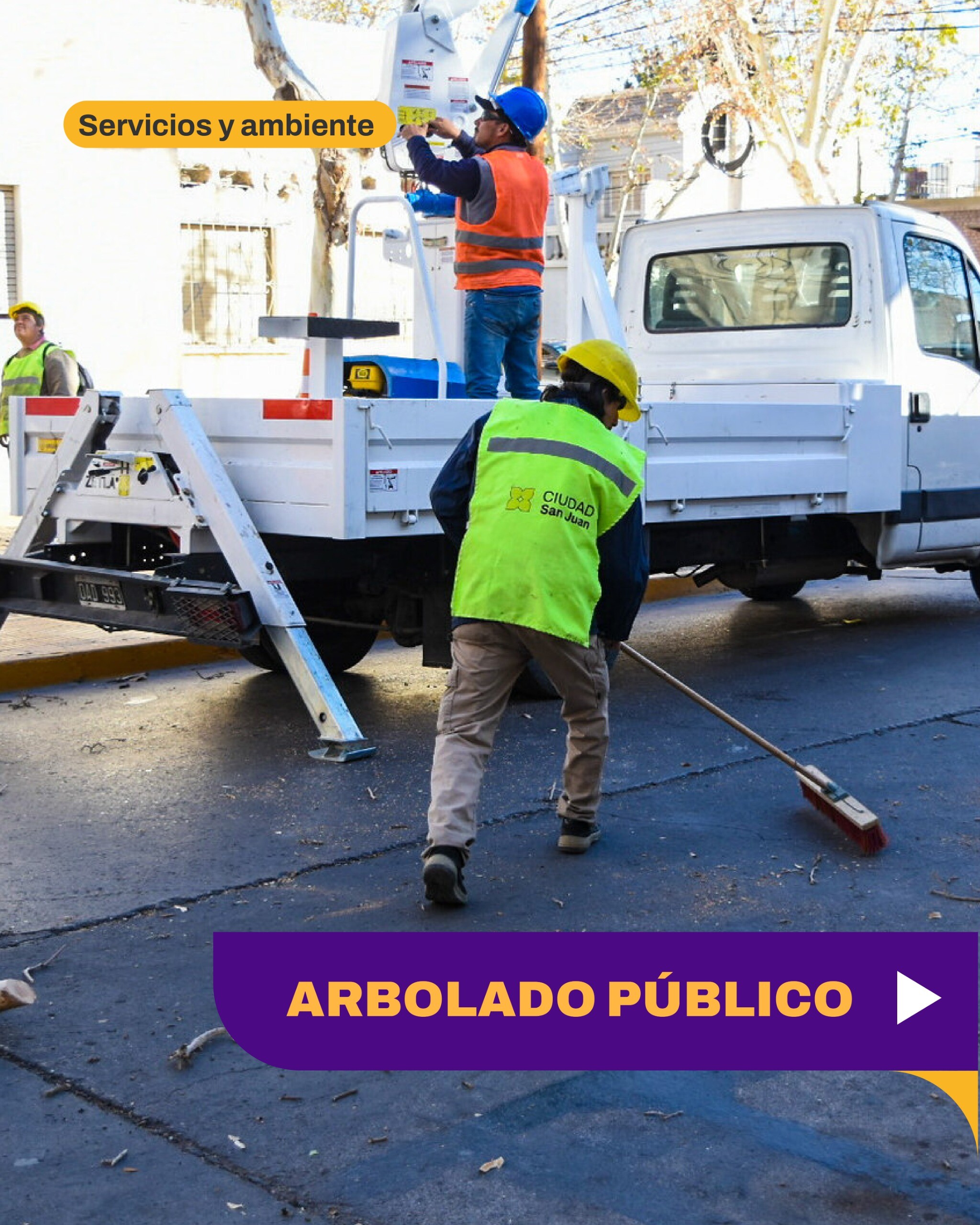 La Municipalidad de la Capital refuerza las tareas de arbolado público
