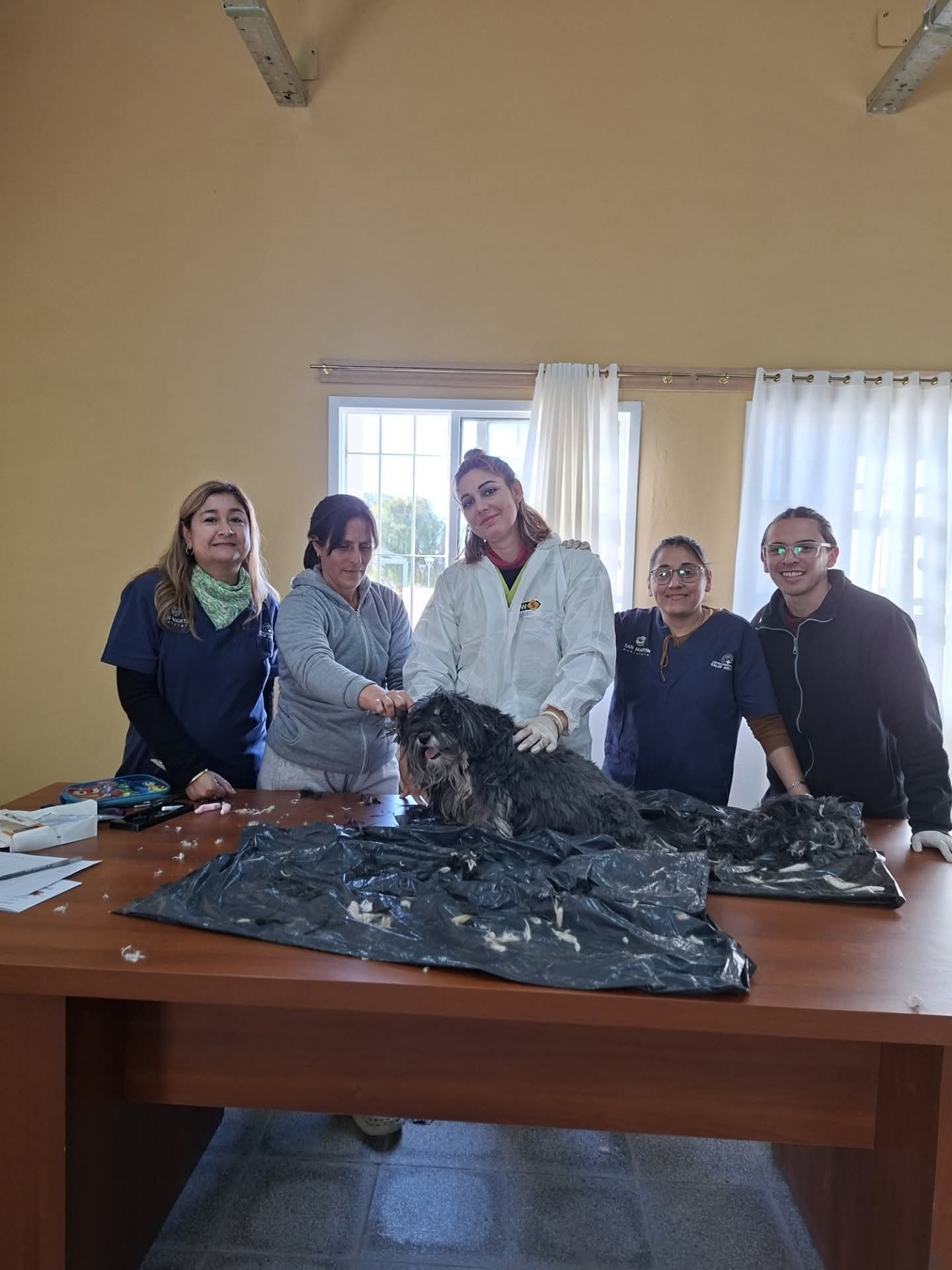 ATENCIÓN-VETERINARIA-SAN-MARTÍN-2.jpg