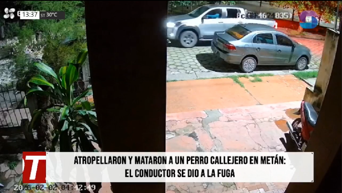 Indignación en Metán por un perro atropellado por una camioneta en contramano Indignación en Metán por un perro atropellado por una camioneta en contramano