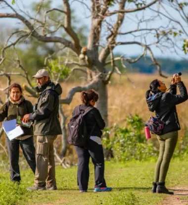 AVISTAJE.webp Ecoturismo en Corrientes El Iberá elevó el porcentaje de turistas del país en la última década